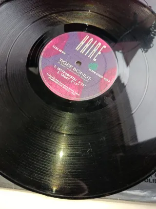 TOP BUSCADO  Haire Eye of the Tiger