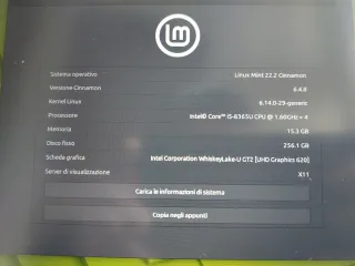 Lenovo ThinkPad T490s