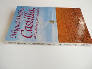 Castilla, lo castellano y los castellanos