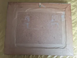 Cuadro relieve vivienda palmera