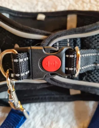 Arnés de seguridad  mascota