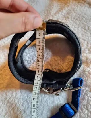 Arnés de seguridad  mascota