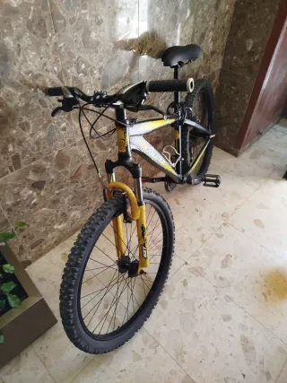 Bicicleta de montaña COLUER