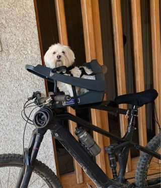 Silla Porta Mascotas Bicicleta