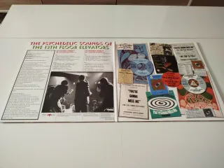 Doble Vinilo The 13th Floor Elevators