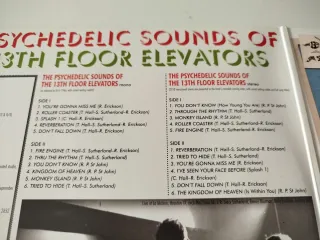 Doble Vinilo The 13th Floor Elevators