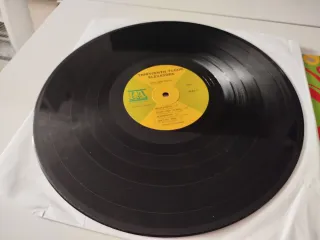 Doble Vinilo The 13th Floor Elevators