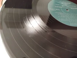 Doble Vinilo The 13th Floor Elevators