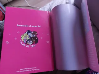 El misterio de la muñeca desaparecida: Tea Stil...