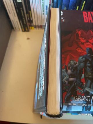 Escuadrón Suicida de John Ostrander 2