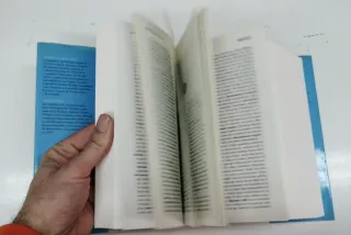 Diccionario de términos económicos, financieros...