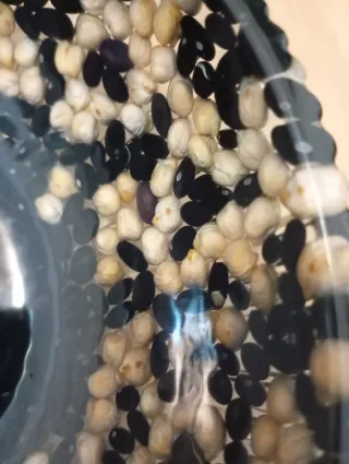 Ciotola in resina decorata