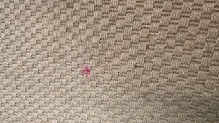 Alfombra grande estilo nórdico beige Morum