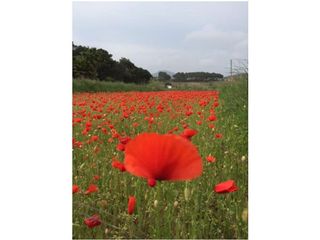 Chalet en venta en Mas Mora - Sant Daniel en Tordera