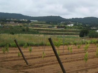 Chalet en venta en Mas Mora - Sant Daniel en Tordera