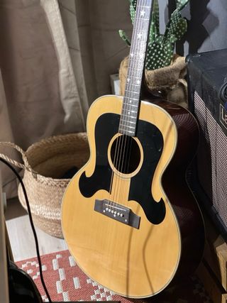 Guitarra Acústica Morris WJ25 importante leer.