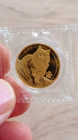 Moneda Oro 999 1/10 Oz CATS 2025 Prooflike (500u)