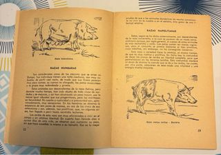 2 libros viejos de veterinaria