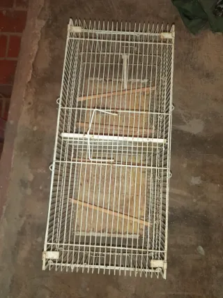 Jaula cría 60cm + Jaula jilguero