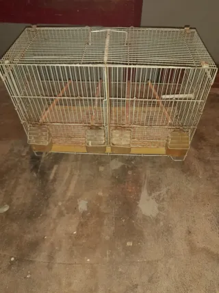 Jaula cría 60cm + Jaula jilguero