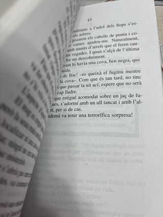 LES AVENTURES DE MAG (Catalan Edition)