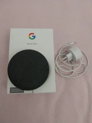 Google Nest Mini 2ª Gen Negro y Cargador