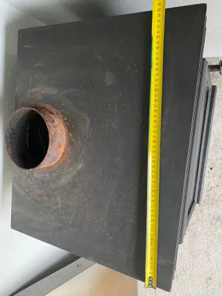 Salamandra a lenha com 1 ano