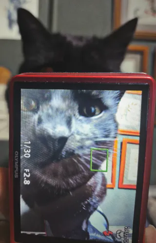 Cámara Olympus D-745 color rojo.