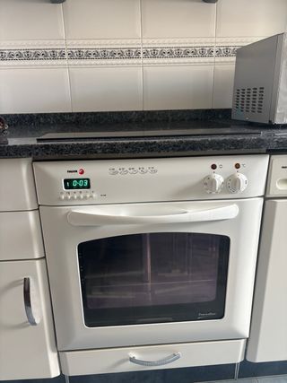 Horno Fagor Blanco