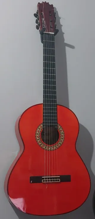 Guitarra BROS Canastera Especial