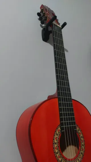 Guitarra BROS Canastera Especial