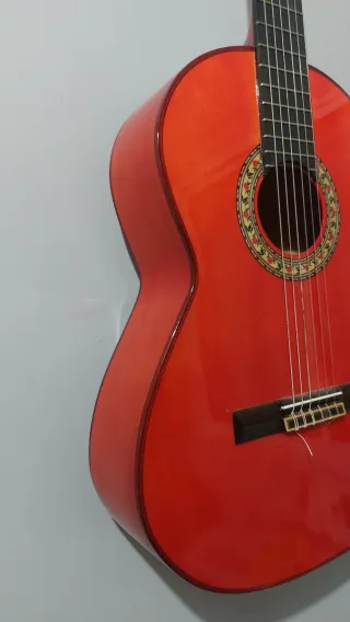 Guitarra BROS Canastera Especial