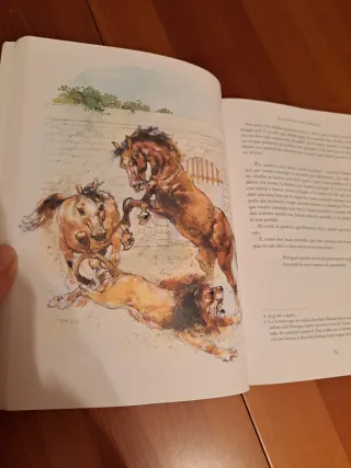 El conde Lucanor, ESO. Material auxiliar (Spani...