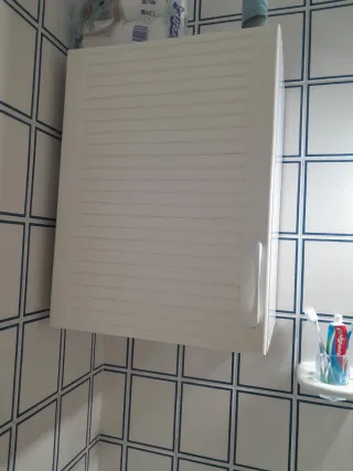 Lavabo, inodoro y armario de baño