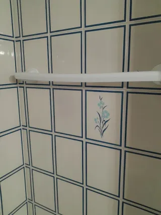 Lavabo, inodoro y armario de baño