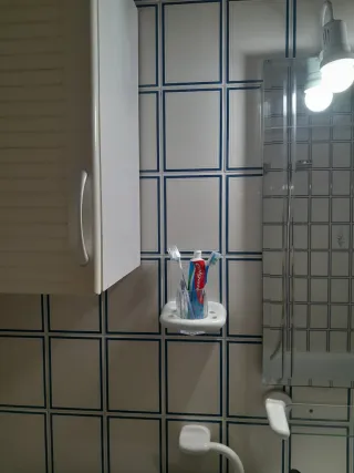 Lavabo, inodoro y armario de baño