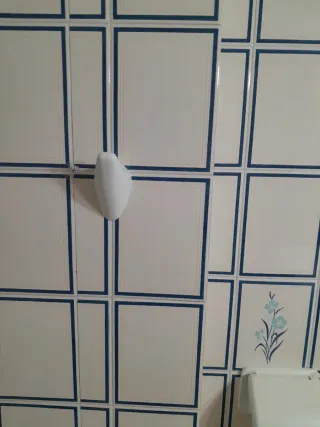 Lavabo, inodoro y armario de baño