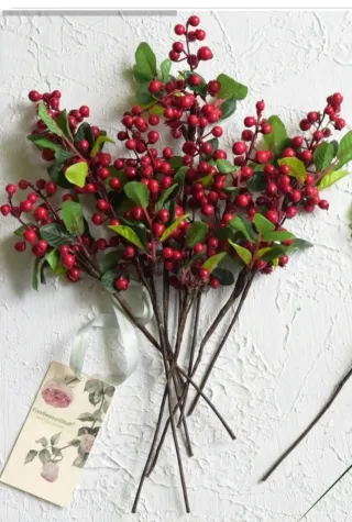 5 Ramas de acebo naturales con bayas rojas