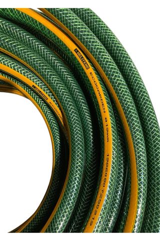 Mangueira jardim verde.