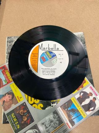 Los gatos negros. Una rotonda sul mare. Ep