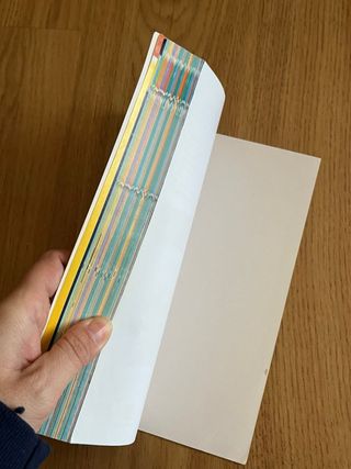 Guida Ufficiale Pokémon Spada e Scudo