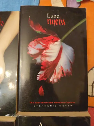 Crepúsculo (Saga Crepúsculo 1) (Spanish Edition)