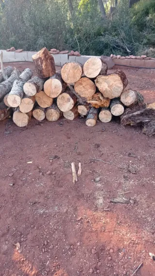 Alquiler rajadora de leña profesional