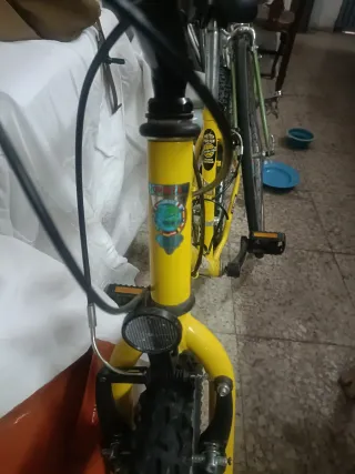 Bicicleta infantil 24 pulgadas