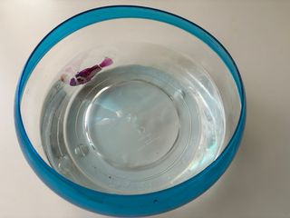 Pecera Robo Fish con pez y caja