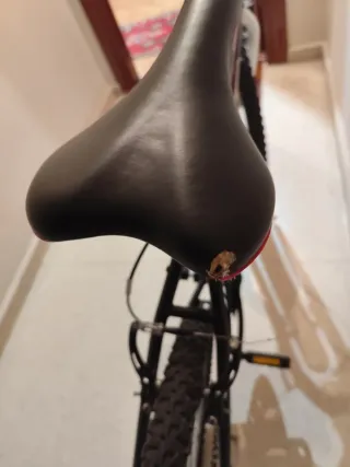 Bicicleta de montaña para adulto