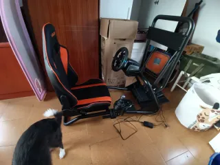 Simulador PS4/PC Volante y Palanca