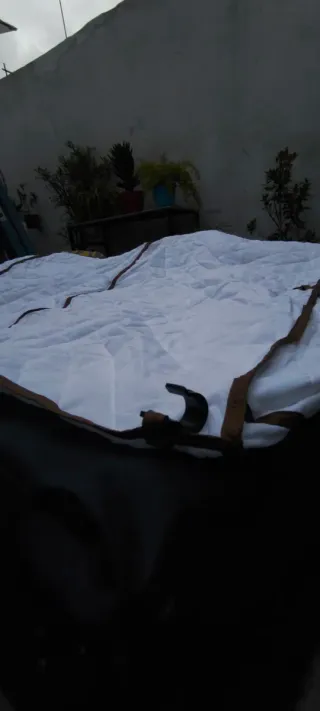 DominGo DMG-135 con avancé y aislante térmico