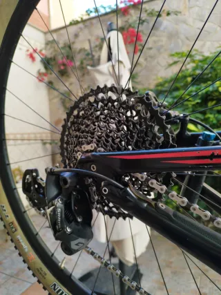 Specialized   EPIC WORLD CUP CARBON 29"