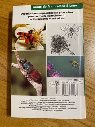 Insectos y arácnidos